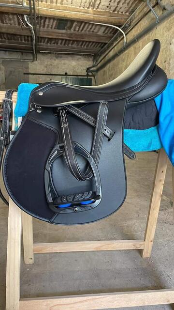 Selle wintec 250