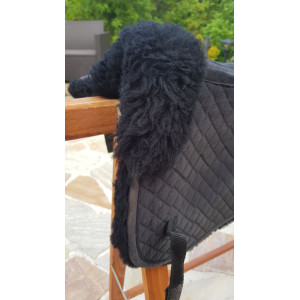 Amortisseur mouton noir