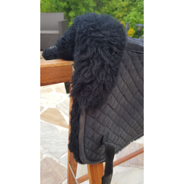 Amortisseur mouton noir