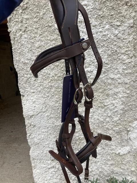 Filet Antares Précision