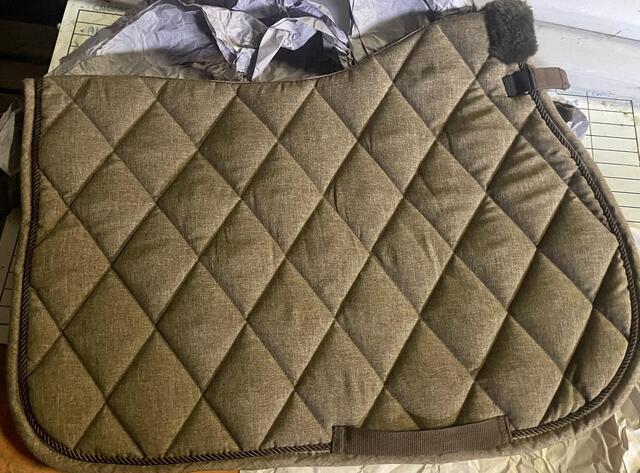 Tapis back on track