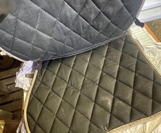 Tapis back on track
