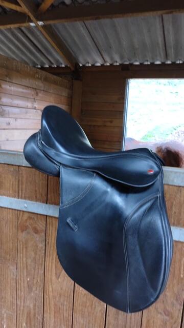 Selle Thorowgood 17"