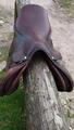 selle bunet pineau