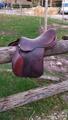 selle bunet pineau