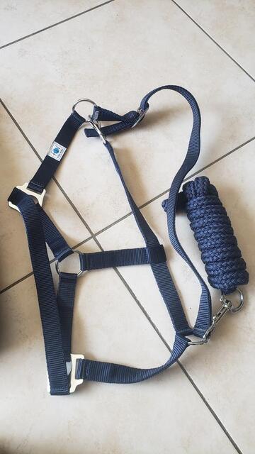 Pack couverture polaire + licol + longe + bandes des repos