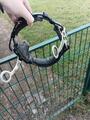 Hackamore