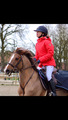 Manteau Horse Pilot