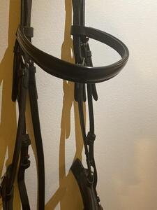 Bridon/filet de dressage