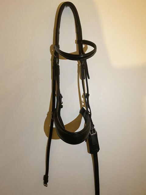 Bridon/filet de dressage