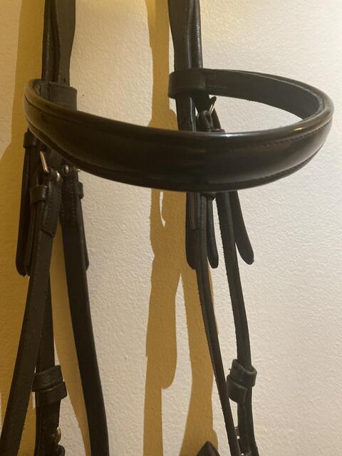 Bridon/filet de dressage