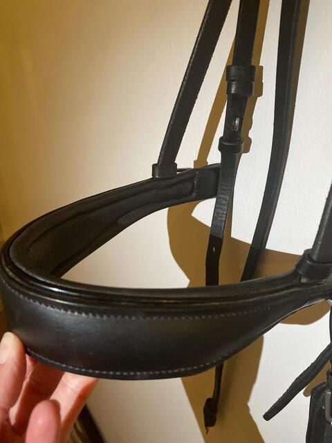 Bridon/filet de dressage