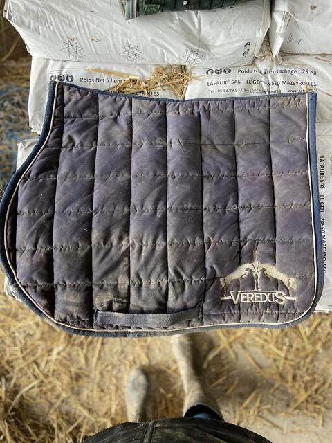 Tapis veredus