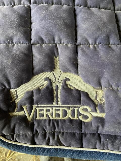 Tapis veredus