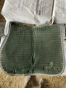 Tapis kentucky