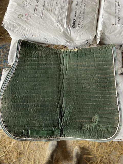 Tapis kentucky