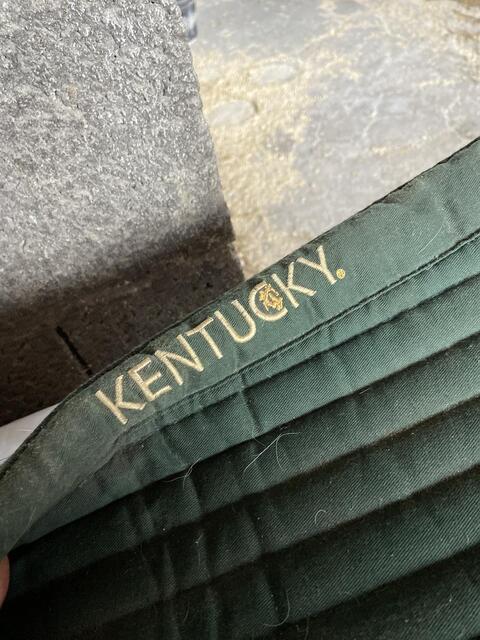 Tapis kentucky