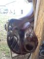 Selle Prestige michel Robert