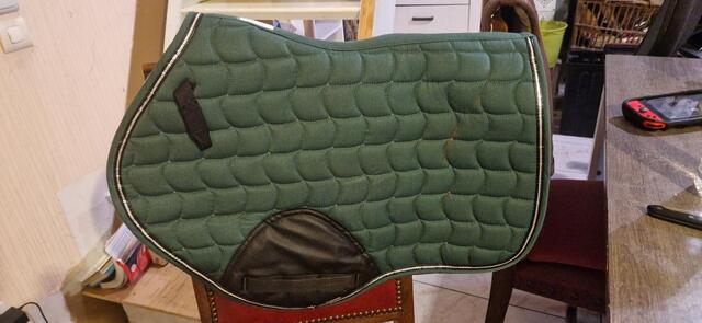 Tapis vert sapin coupe sport