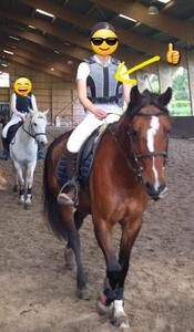 Gilet de protection equitheme