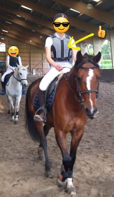 Gilet de protection equitheme
