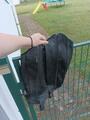 Chaps xl