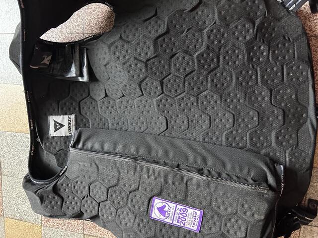 Protège-dos Dainese