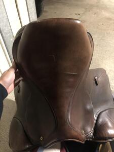 Selle tattini bristol 16,5