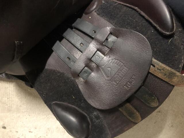 Selle tattini bristol 16,5