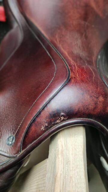 Selle mixte GBS