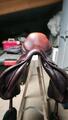 Selle mixte GBS