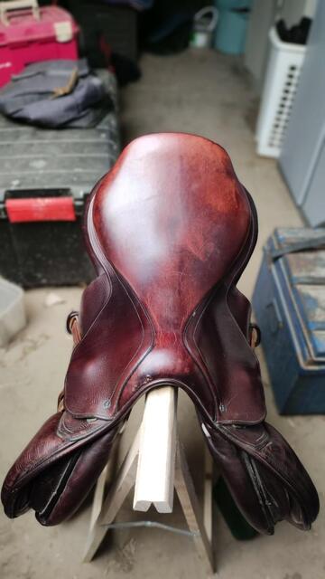 Selle mixte GBS