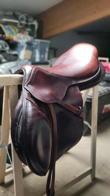 Selle mixte GBS