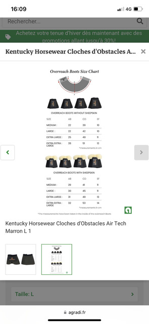 Cloches Kentucky