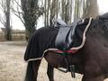 Couvre reins noir