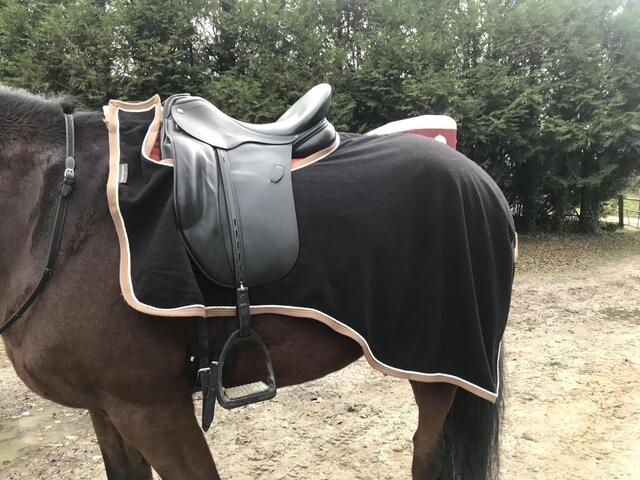 Couvre reins noir