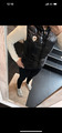 Veste sans manches