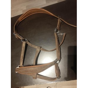 Licol cheval