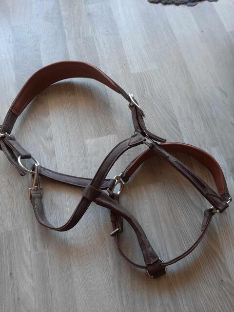 Licol cheval