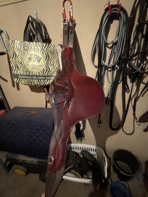 Bavette cwd