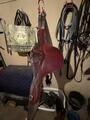 Bavette cwd