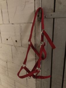 Licol rouge