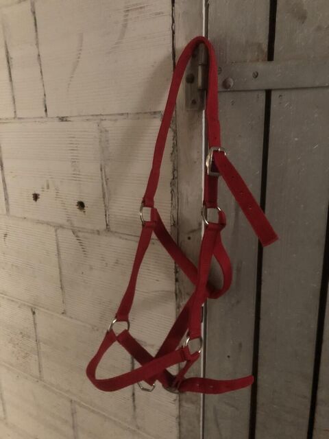 Licol rouge