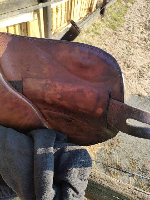 Selle boeckelo de 2003