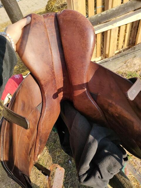 Selle boeckelo de 2003