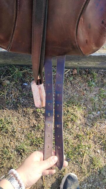 Selle boeckelo de 2003