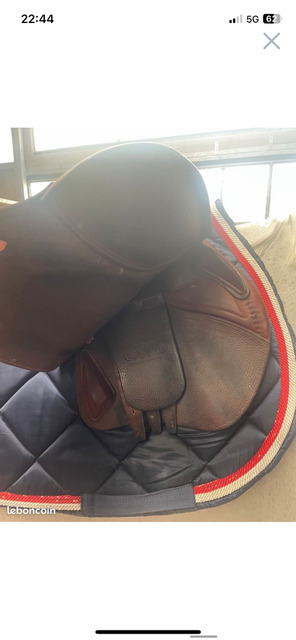 Selle CWD