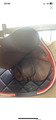 Selle CWD