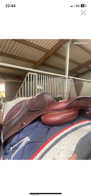 Selle CWD