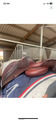 Selle CWD
